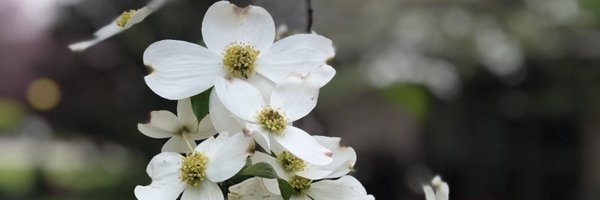 beckyle1 Profile Banner