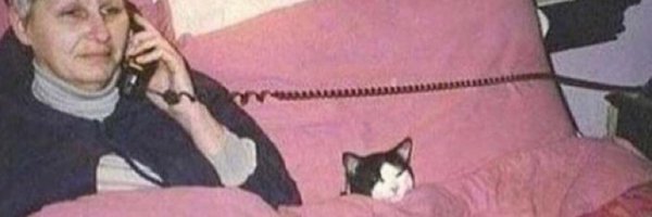 lucymatz Profile Banner