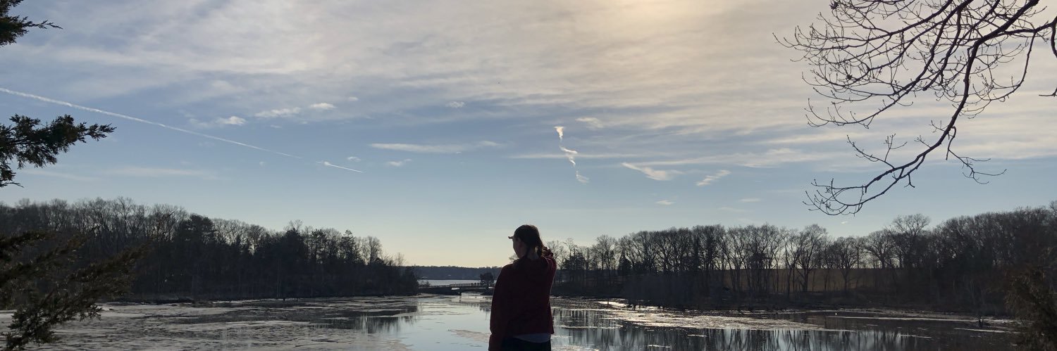 heytherehello's profile banner image