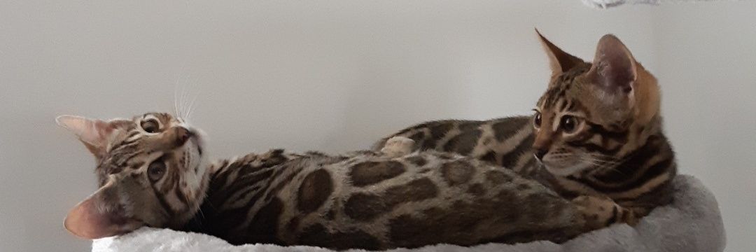 NeilJ247's profile banner image
