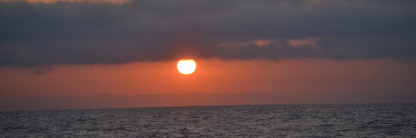 Kateeny Profile Banner
