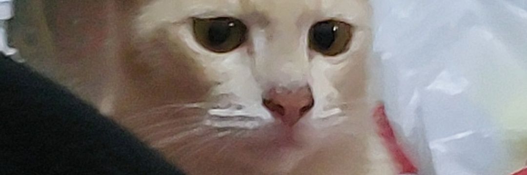 DavidM6526548's profile banner image