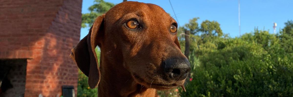 milula_10's profile banner image