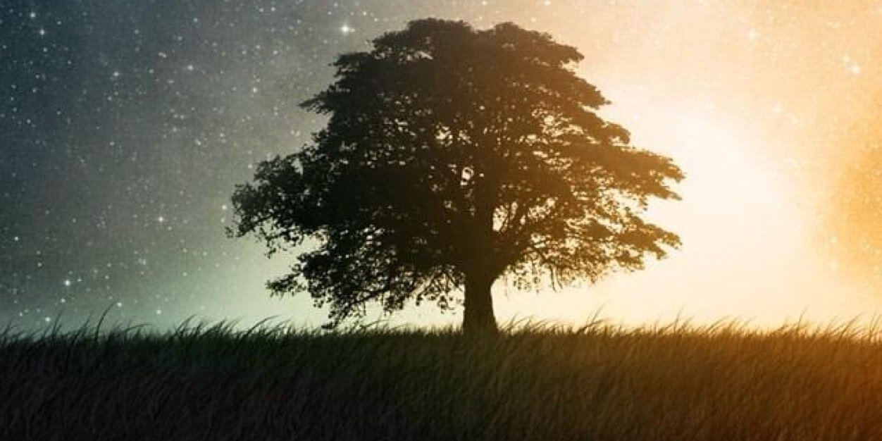 ThiccPapiThanos banner