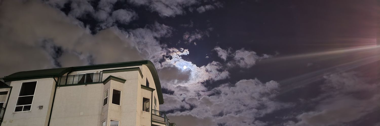 papercutzombie's profile banner image