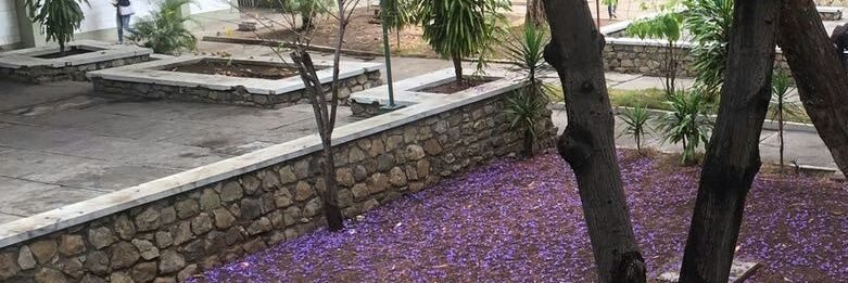 AndreaPM_29's profile banner image