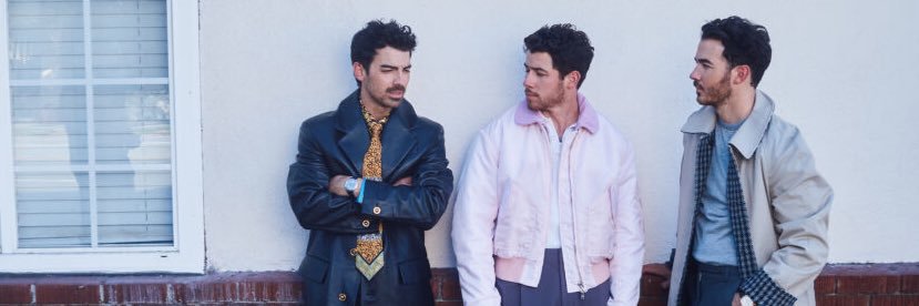 Dri 🦋VIU OS JONAS ❤️ banner