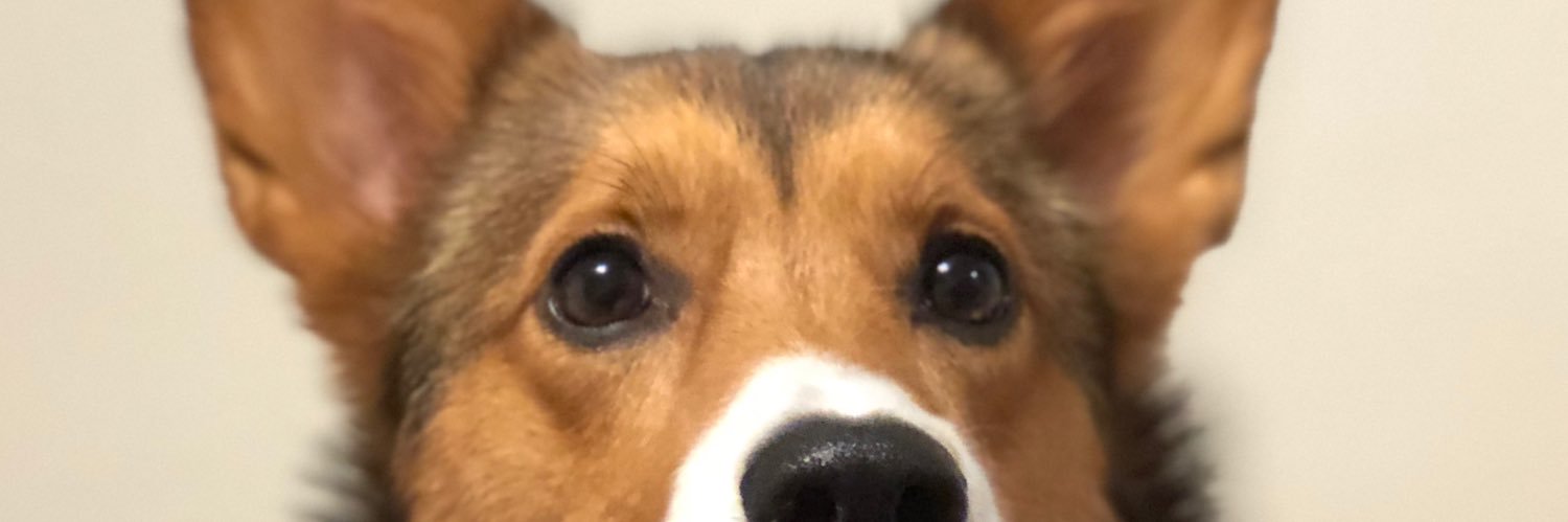 cincoDAVEmayo's profile banner image