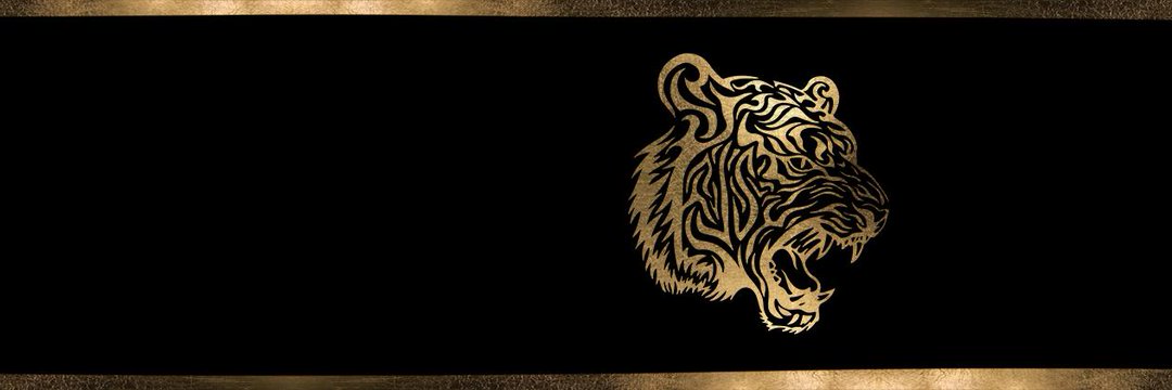 saviouramoz's profile banner image