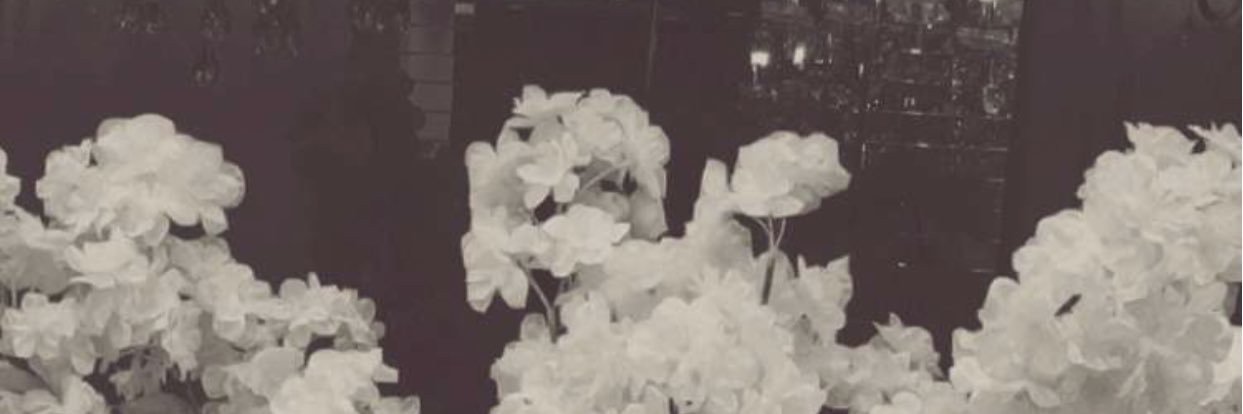 elbharwelcom's profile banner image