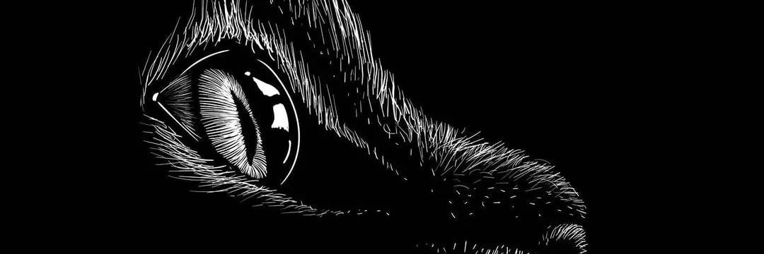 hendro_dy's profile banner image