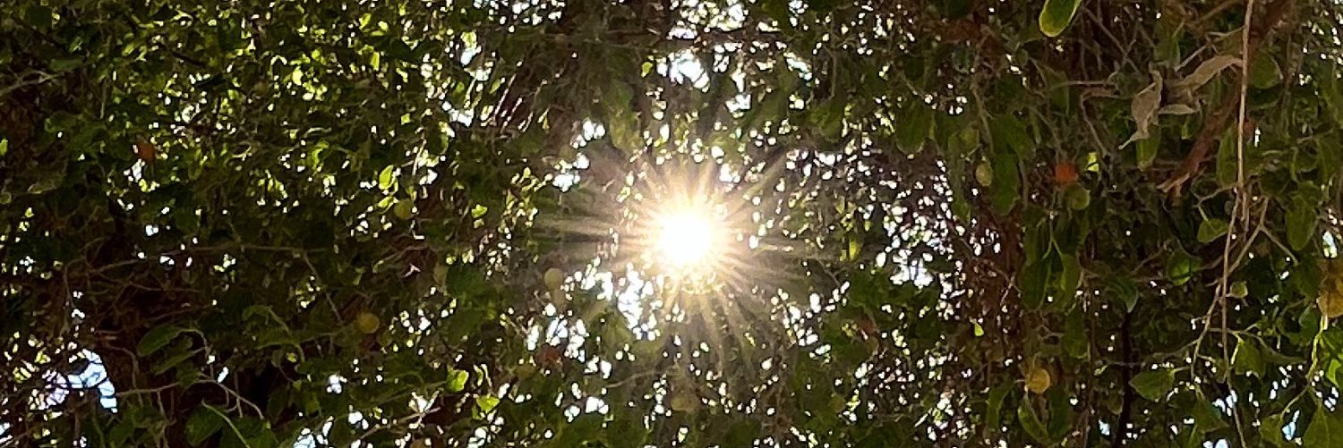 nmae27's profile banner image