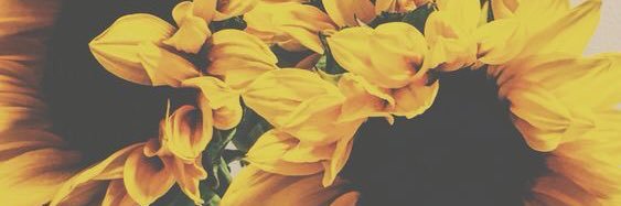 Bfromtheblock_'s profile banner image