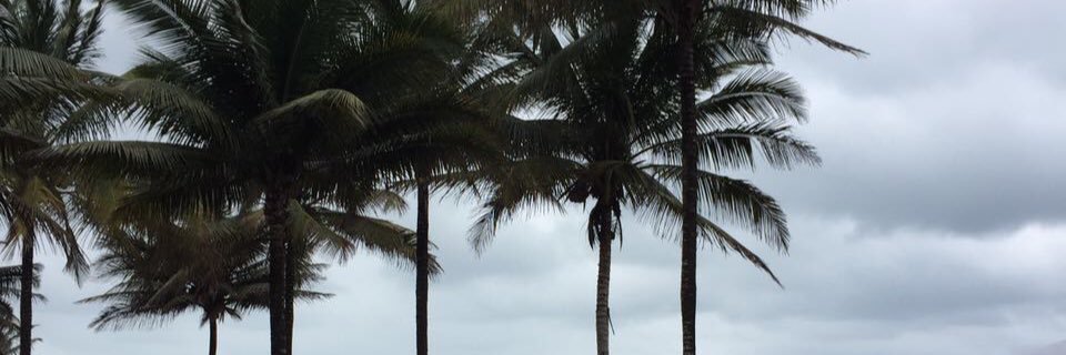 _vcruzatty's profile banner image
