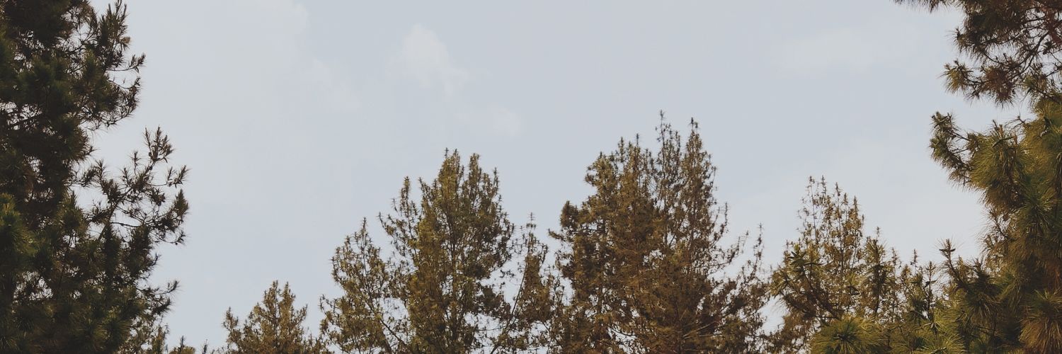 👨‍💻 banner