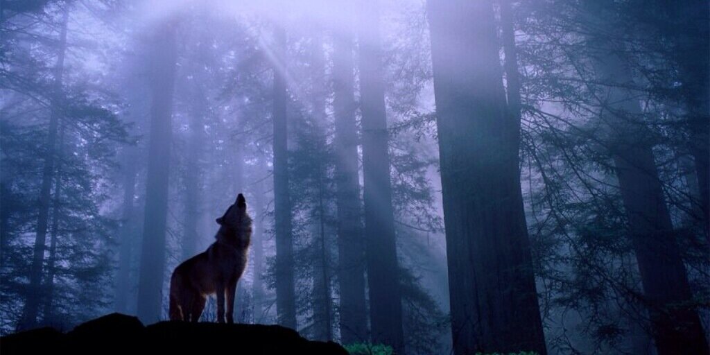 Loyal Wolf Spirit banner