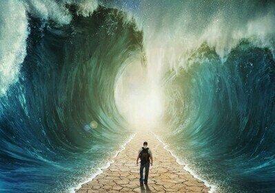 Uncle Scooter banner