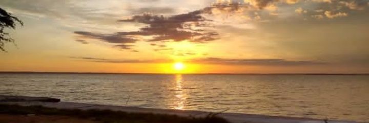levingvarela's profile banner image
