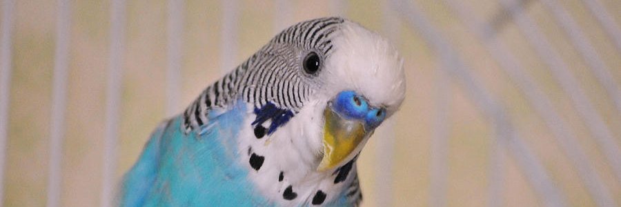 18lesliedodge's profile banner image