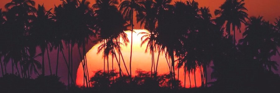 Michael Lambert banner