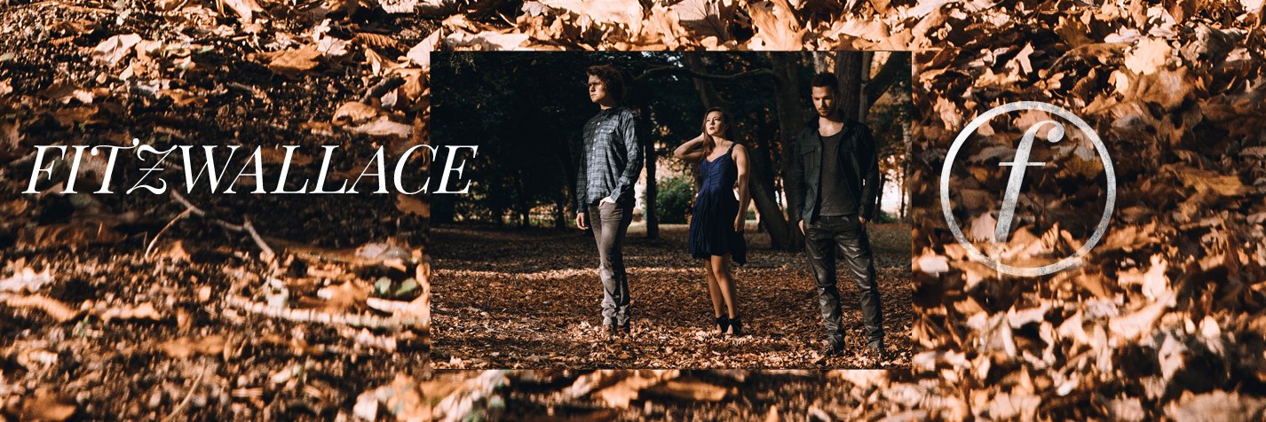 fitzwallaceband's profile banner image