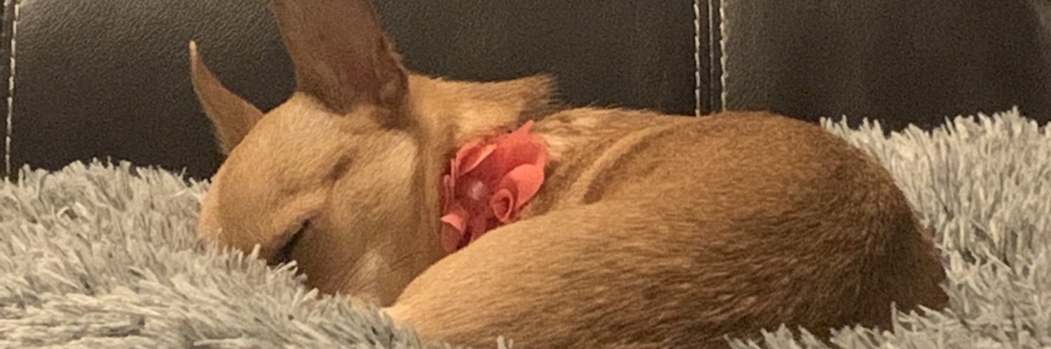 atskizzy's profile banner image