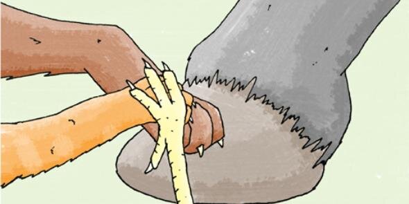 burcuzzdmr's profile banner image