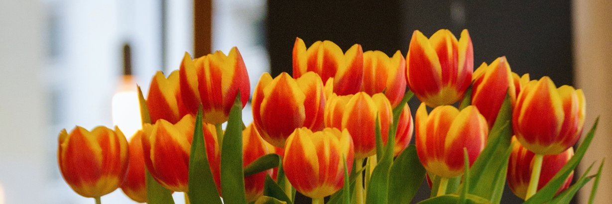 CarlyLSharples's profile banner image