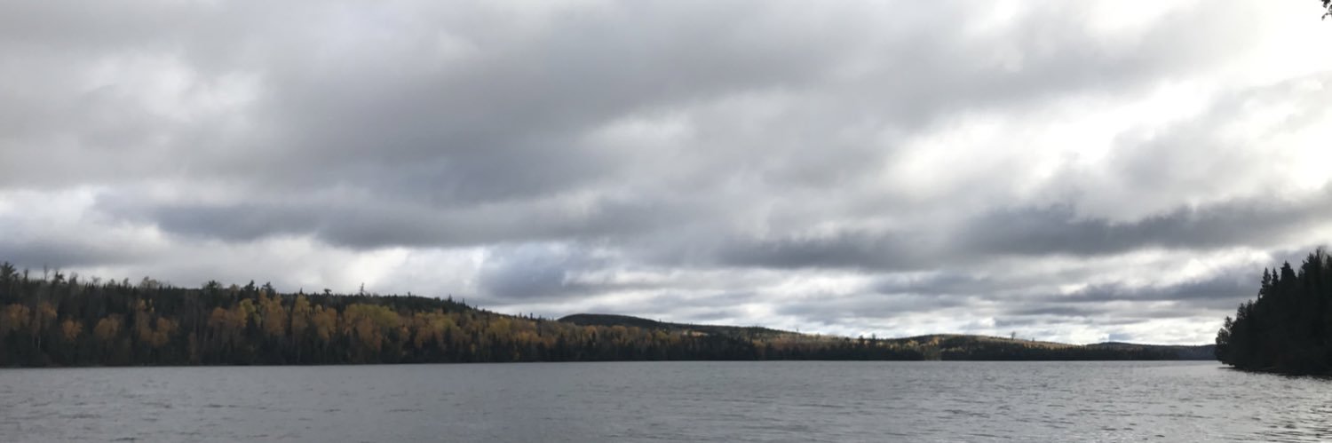 EthanNelson0's profile banner image