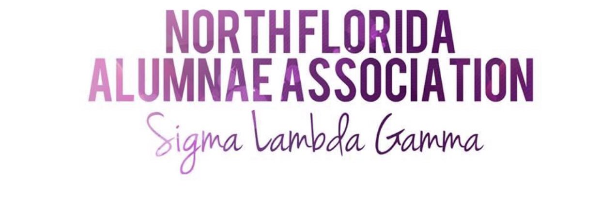 SLG_NFAA's profile banner image