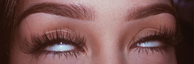 sanybryant's profile banner image