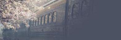 wayne5395's profile banner image