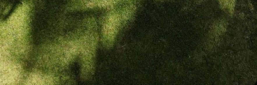 thewafa6's profile banner image