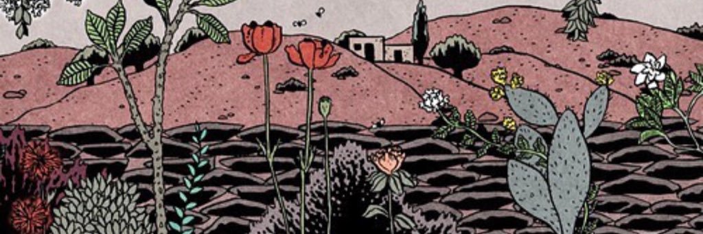 kottensman's profile banner image