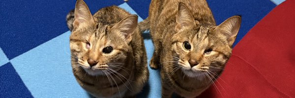 Luu_XJ Profile Banner