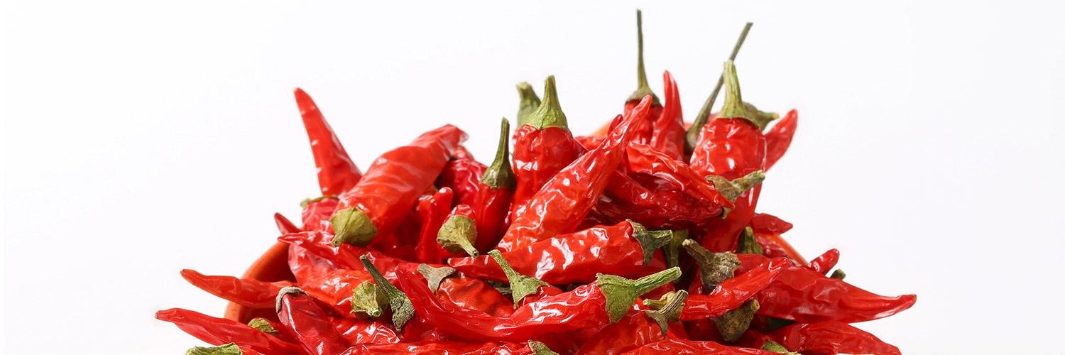 chillipowders's profile banner image