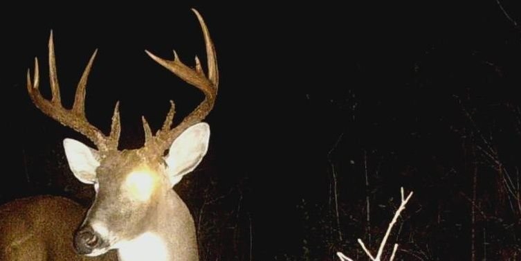 JamesSteedley09's profile banner image
