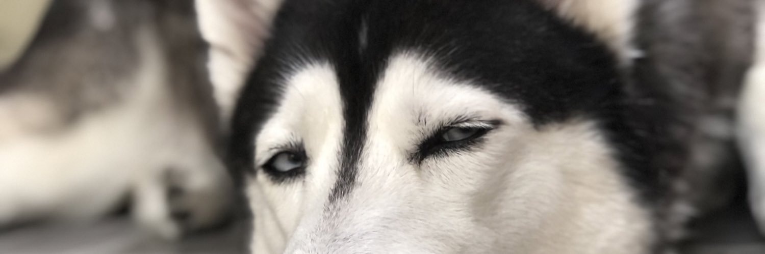 JessikRP's profile banner image