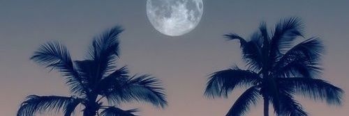 _misspops's profile banner image