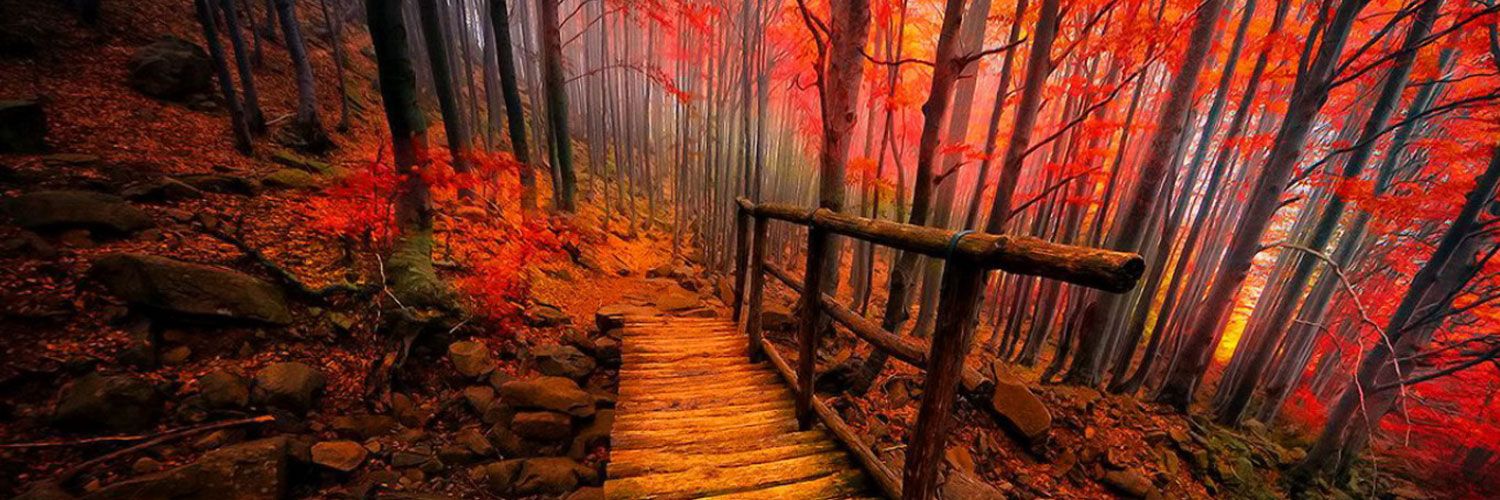 John Hackwood | Quality #TreeServiceLeads banner