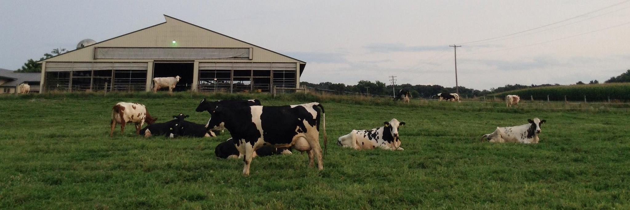 Sarabeth Alderfer banner