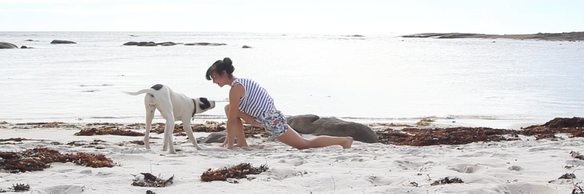 josmojoyoga's profile banner image
