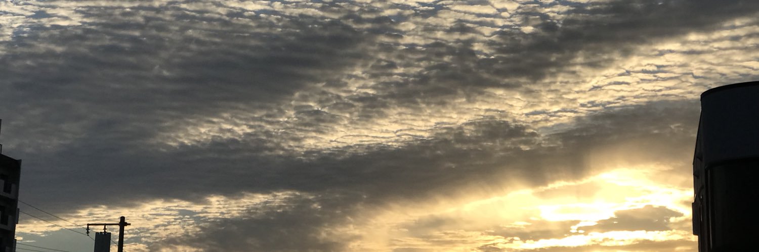 大仏@アンコウ banner