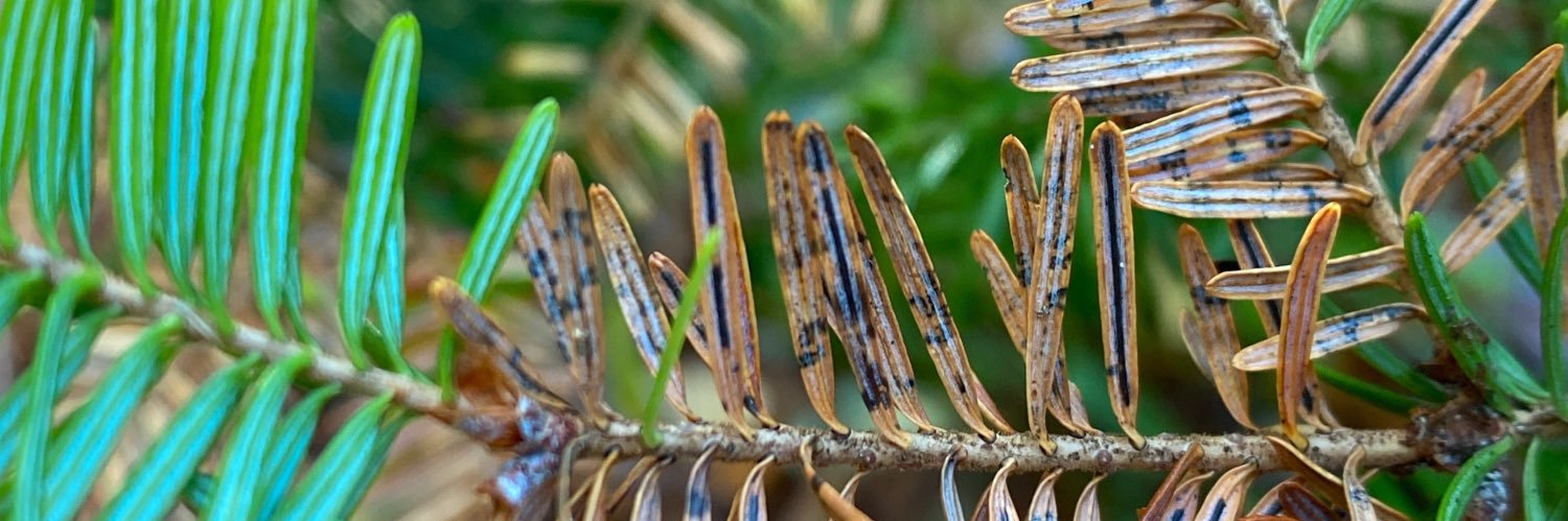 BernivdMeer's profile banner image