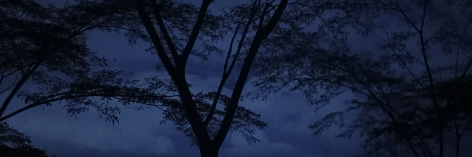 mjotty's profile banner image