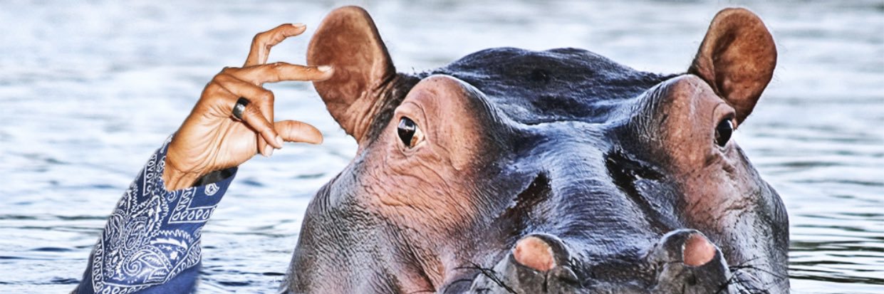 PharaohHarro's profile banner image