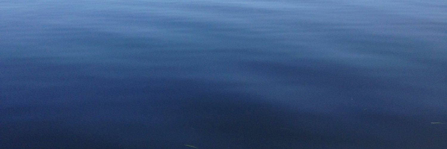 BattenChristine's profile banner image