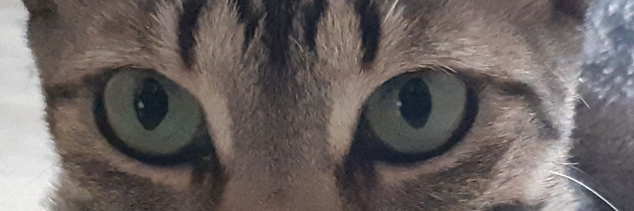 krlosbll's profile banner image