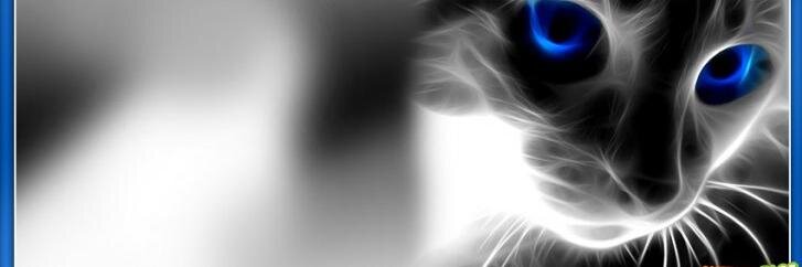 TsuDiLuMo's profile banner image
