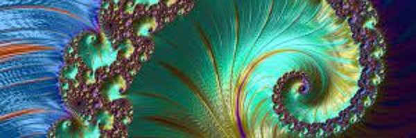 NelaPastuizaca Profile Banner